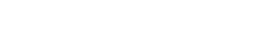 logo-wise-branca